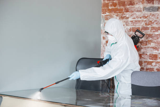 Ashland, MO Mold Removal Company